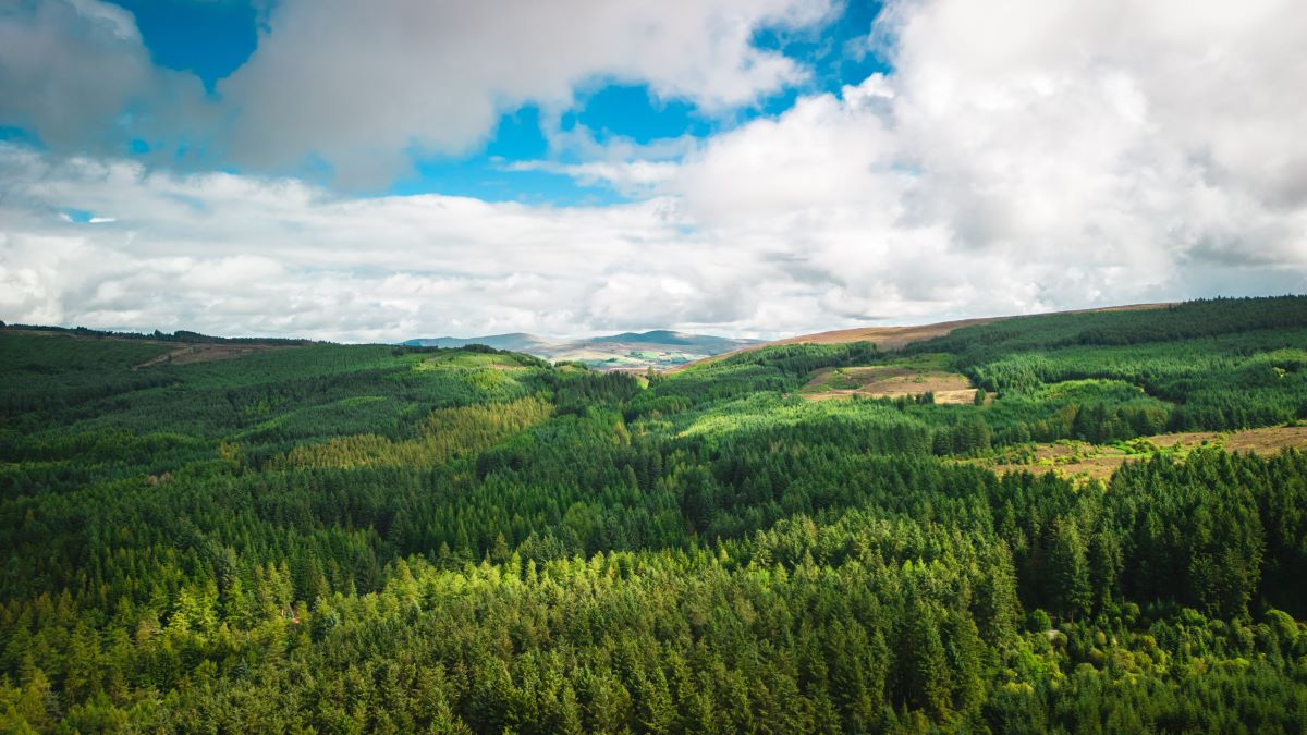 Natur entdecken: Schätze vor deiner Haustür finden