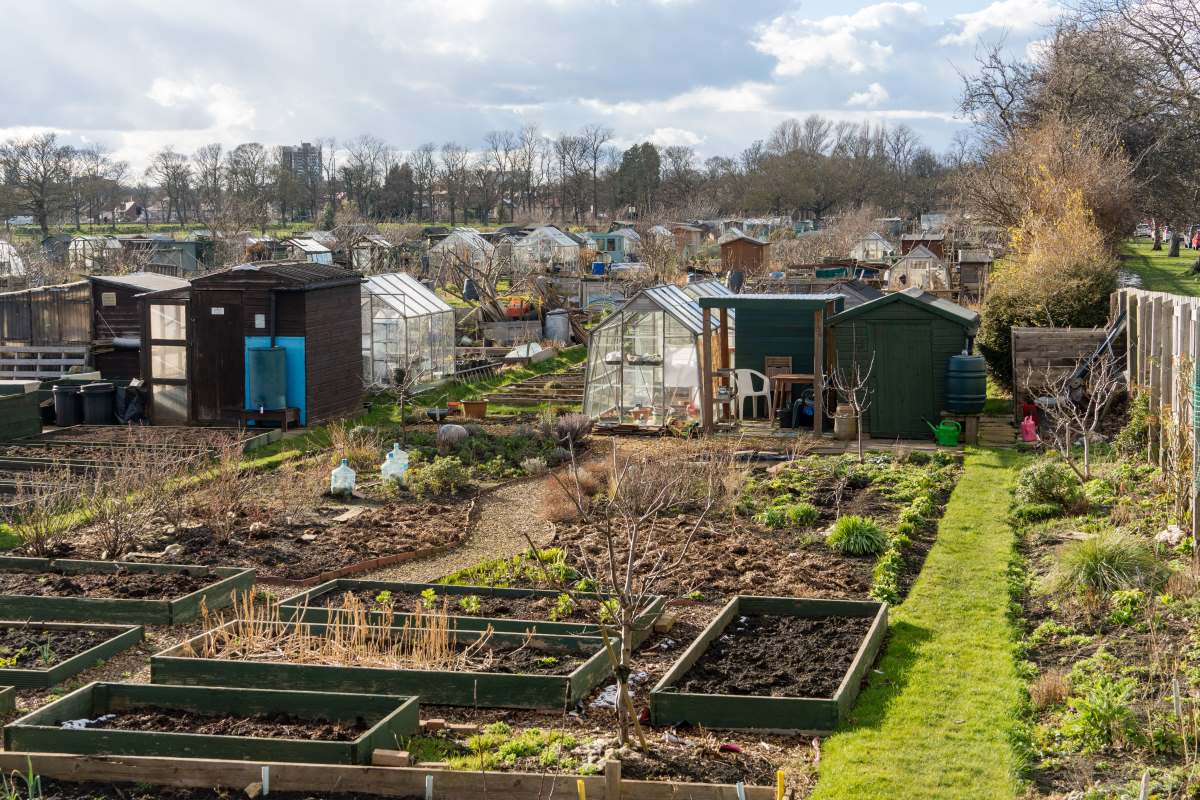 Schrebergarten in Nordfriesland: Pacht, Regeln und was Sie w